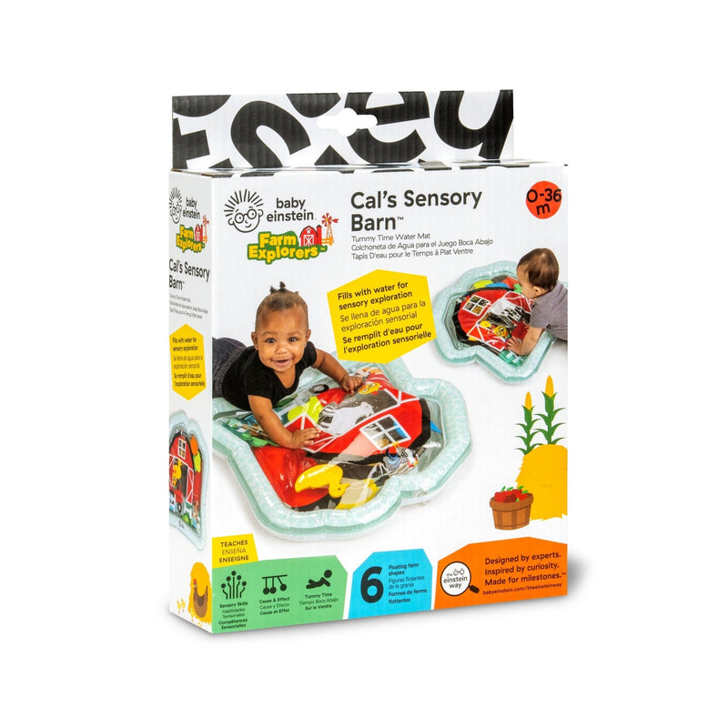 Cal's Sensory Barn Tummy Time Water Mat N1074