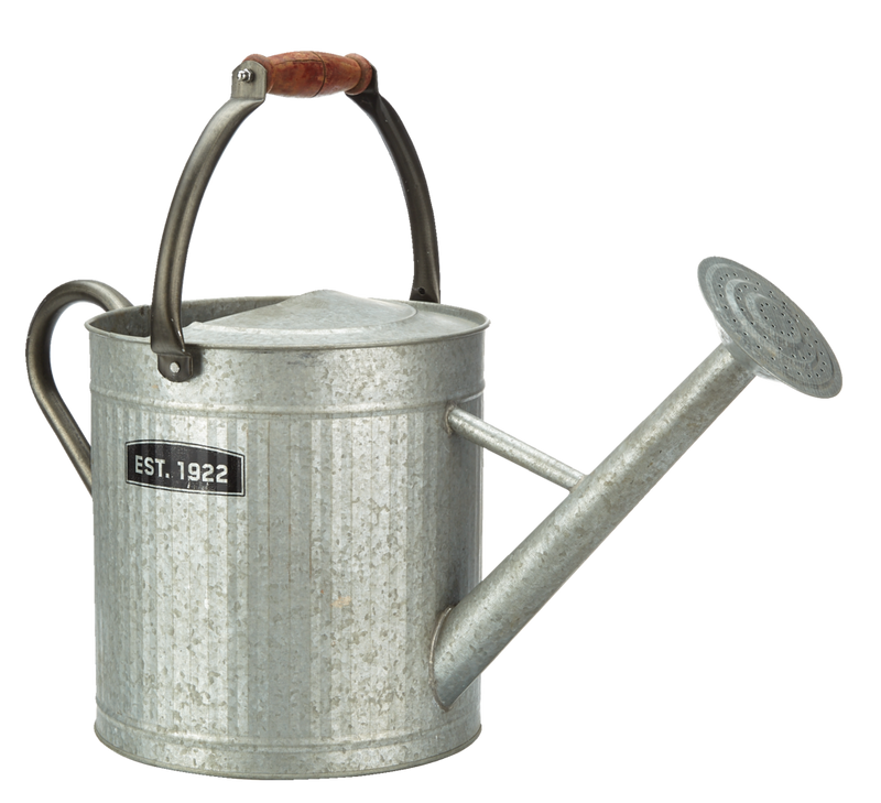 Vintage Style Decorative Watering Can with Wooden Handle, 7.5-L, (1.8 US gal), Silver V7407